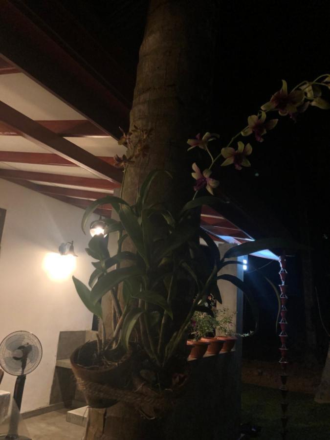 Lohas Villa Hiriketiya Dickwella Exterior photo