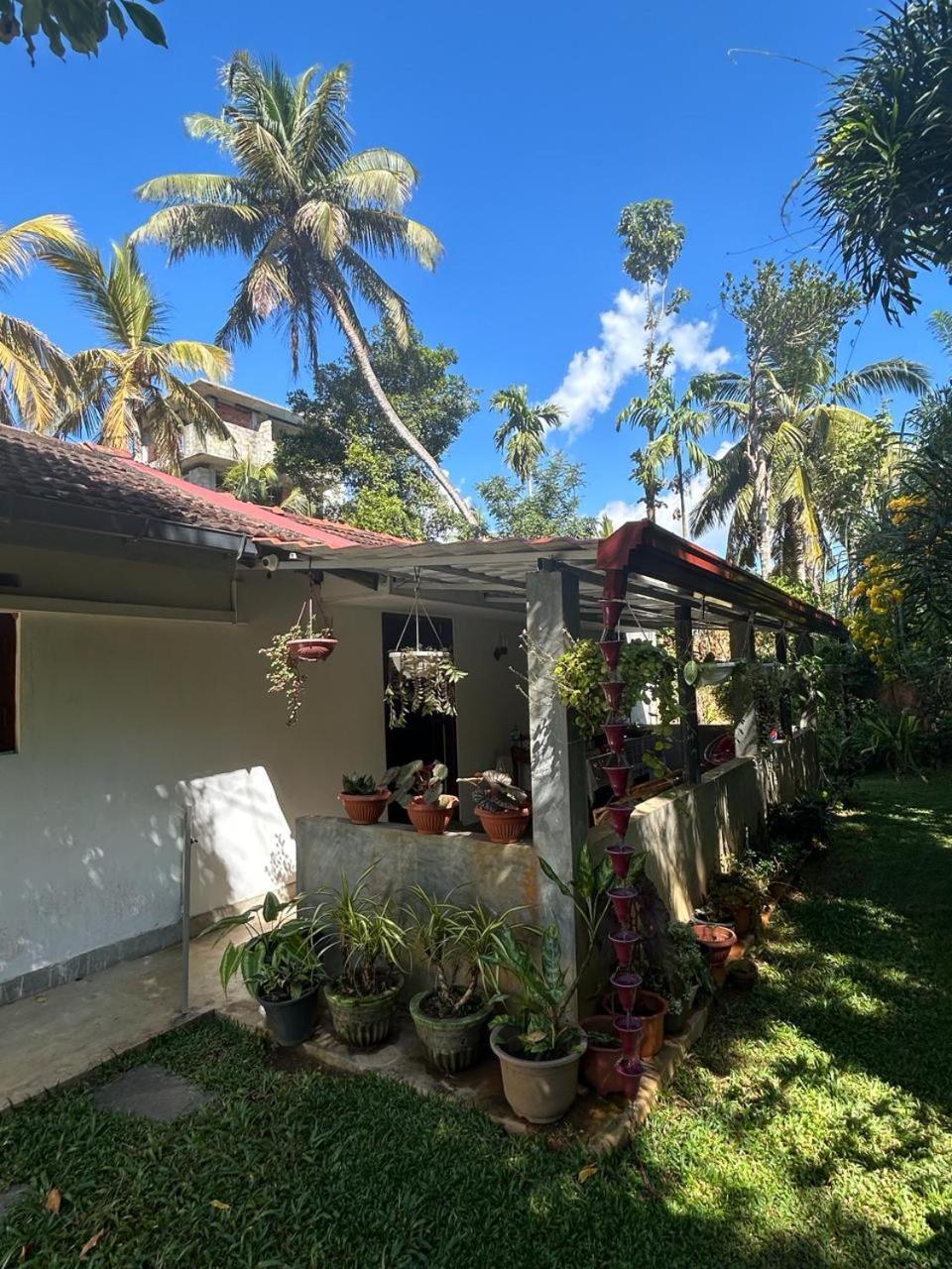 Lohas Villa Hiriketiya Dickwella Exterior photo