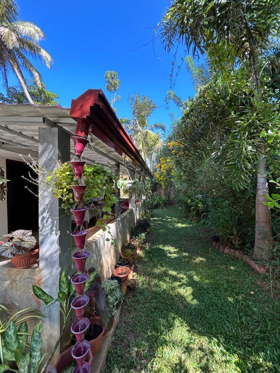 Lohas Villa Hiriketiya Dickwella Exterior photo